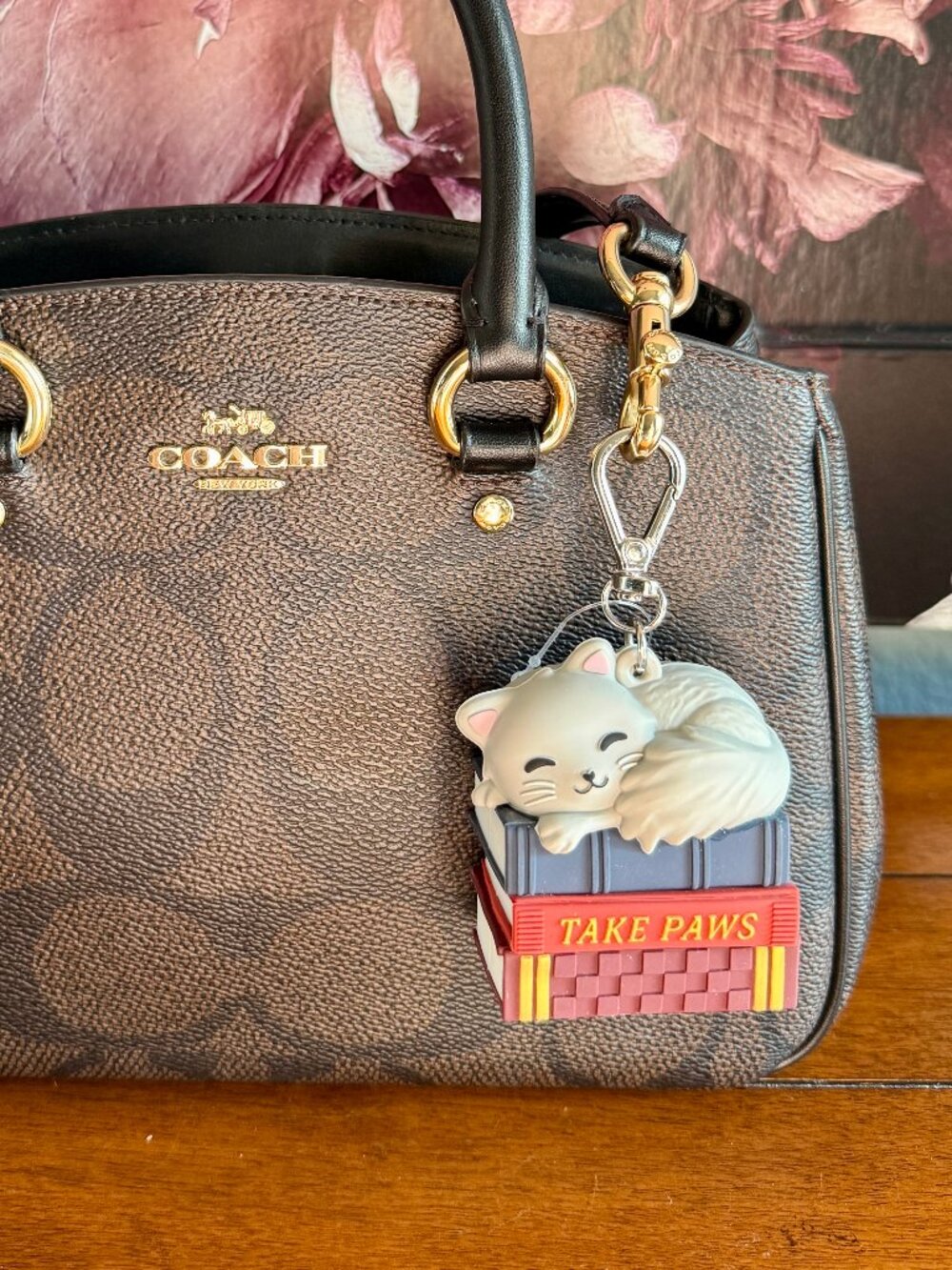 NEW Book Stack Cat PocketBac Holder